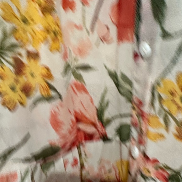 Zara sheer flowers dress. Size small - Picture 3 of 4